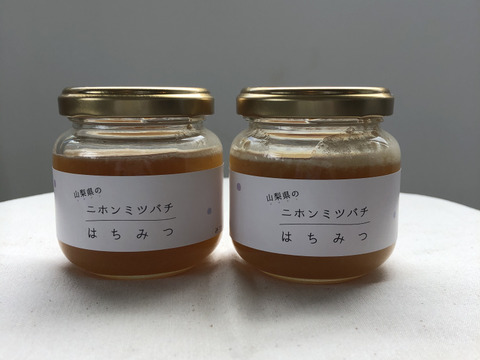 《2本セット》山梨県の日本みつばちのハチミツ
