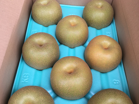 【贈答用】大玉  幸水 5kg 9〜10玉入り