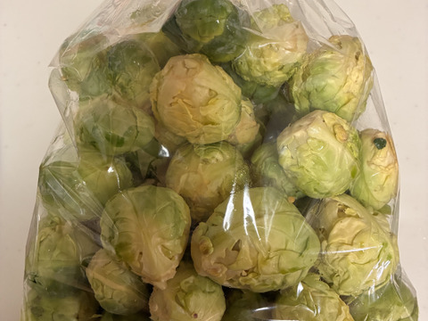 【たぶん30％増量(^^♪】キャベツの代わりに
”双葉農園の真冬の芽キャベツ”（900g →1200g

2〜4名様分）from 名水の里　神奈川県秦野市