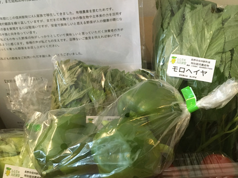 信州春野菜セット【10品目】