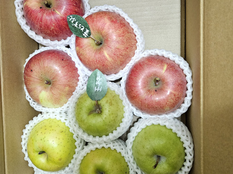 【冬ギフト】 🍎大人気🍏葉とらずふじ・王林  計9～15玉
詰め合わせ3キロ箱 ミックス ID118320