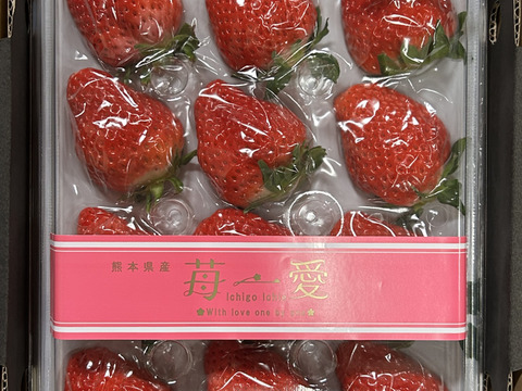 熊本県産いちご　さがほのか贈答用450g