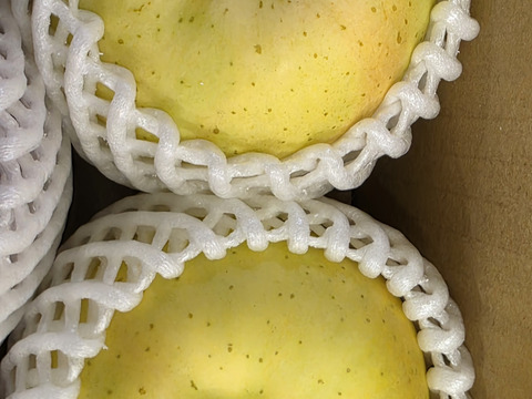 数量限定です！
シャインマスカット&旬の３種詰め合わせ
トキ▪︎ほのか▪︎紅玉　　各２玉♪