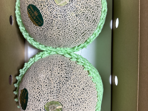 茨城県オリジナル品種‼️イバラキング(5L特大2個入り)