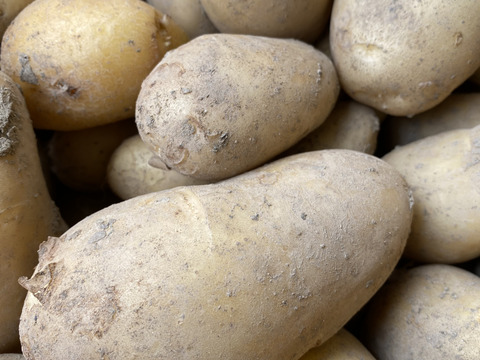 新じゃがいも（キタアカリ、メークイン）3kgセット　栽培期間中化学農薬化学肥料不使用！