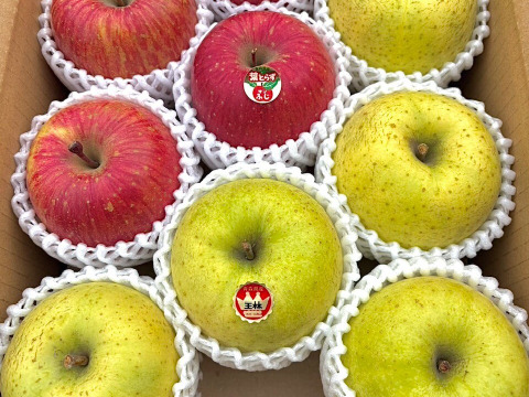 【贈答用】数量限定青森県産りんご 葉取らずふじ・王林3kg