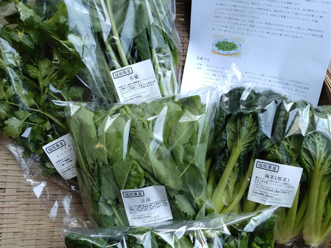 川辺農園 アジア野菜おまかせセット（4～6種類）中国野菜