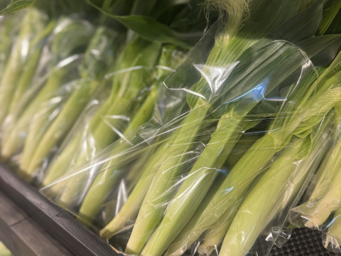 朝採り野菜】ヤングコーン 20本：熊本県産の味来｜食べチョク｜産地