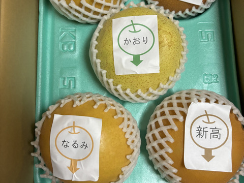 美味しい梨！ わくわく複数品種詰め合わせ 約3kg