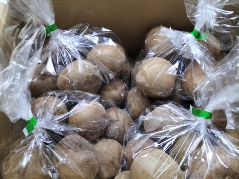 【家庭用たっぷり】30〜35個入るキウイ 約3kg
農薬・化学肥料不使用｜八女産アップルキウイ