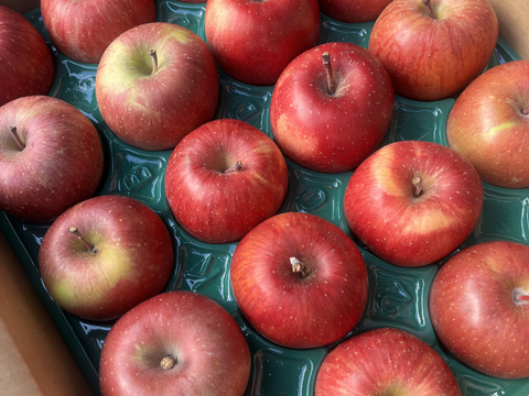 小傷 小玉 サンふじ 5キロ箱 20～25玉　長野県産