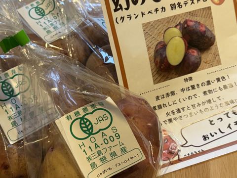 めちゃくちゃ美味しいじゃがいも！デストロイヤー（グランドペチカ）1.2キロ