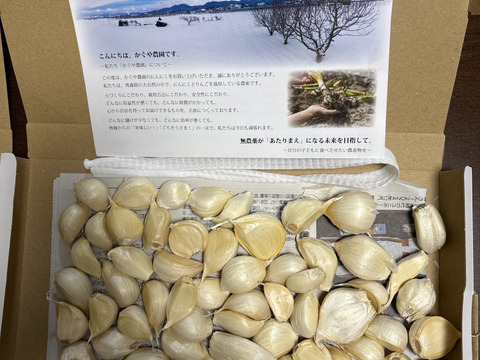 毎年2万箱売れてます！】500g!! 青森県産にんにく 最高級品種