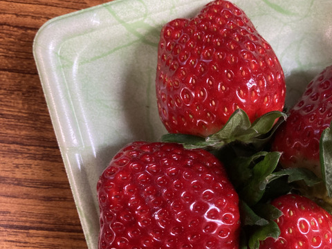 家庭用　訳あり　古都華　奈良県　奈良県　橋本農園　ことか　270g×2パック　いちご　苺　【母の日ギフト】
