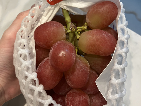 ◆◇◆注目！！！！◆◇◆
激推し！あのシャインマスカットの子供【クイーンルージュ®️】＃種なし＃皮ごと食べれる！
1房