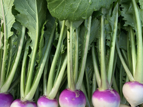 福来る！冬野菜もりもりセット！１０袋入り【ゲン担ぎ福袋】