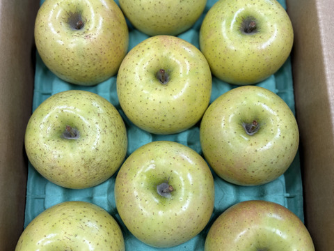 KosakaFarmのこだわり王林🍏