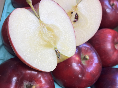 訳あり 紅玉 3キロ箱 8～12玉 長野県産