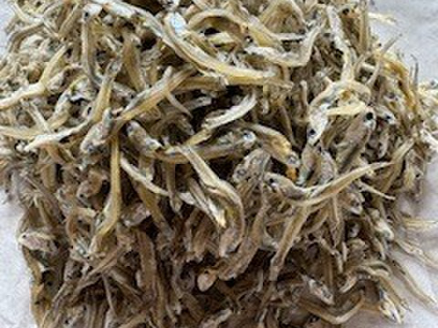 新物出荷中！！食べ応え抜群！ ちりめん　お徳用　５0０g