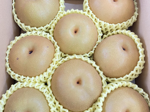 安野農園の恋する豊水梨　訳あり3キログラム 5〜12玉［9月中旬〜］