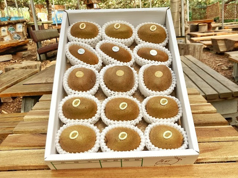 【迷ったらこちら!!】キウイセット３種！この道50年！プロキウイ農家おすすめ季節限定3品種が入るお任せキウイセット：16個前後入り【熨斗対応可】L3