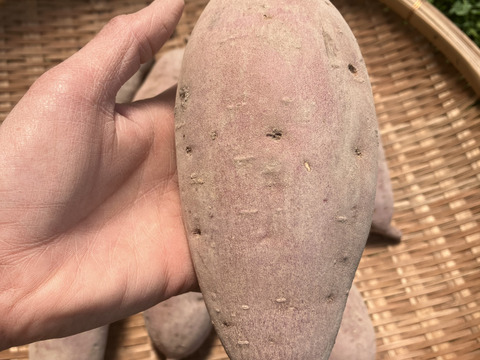 ＊自然栽培〈特大べにはるか〉大分県産さつまいも 4kg
