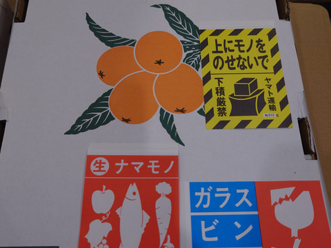 選果落ち【露地びわ】1,800g加工向き