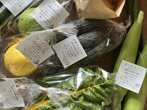 農薬不使用キラピカ旬野菜BOX8品~朝穫れ農の島＊大三島＊よりお