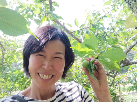 爽やかな酸味と香り　青梅５kg【自然栽培】