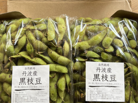 丹波産　自然栽培黒枝豆（1kg）500g×2袋