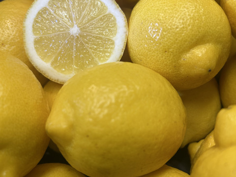 皮ごと食べれる朝採れイエローレモン4kg