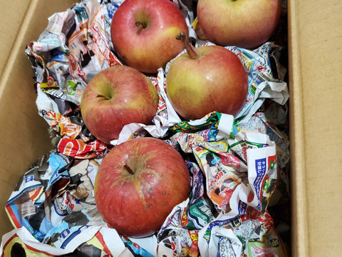 シャキッとジューシー☆葉取らずふじりんご🍎！小玉中心です。5キロ箱バラ詰め家庭用