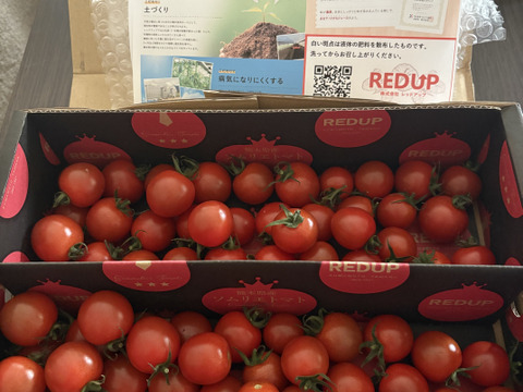 【特別栽培農産物の取得】ソムリエミニトマト　ダイヤ１kg（６０玉～９０玉）