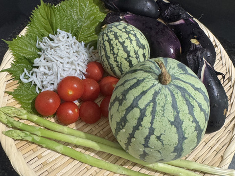 スイカの赤ちゃん　摘果スイカ【3kg前後】（5〜8玉）