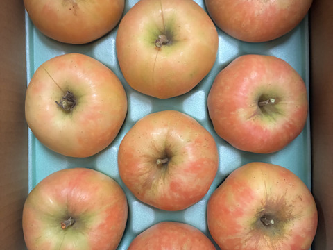 【えぇ！と驚くりんご(*º ﾛ º *)!!】ムーンルージュ 贈答品約3kg