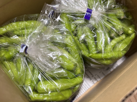 ☆有機JAS認証☆朝採れ新鮮！ししとう1.2㎏