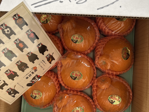 めちゃ大人気❗️不知火デコ柑2、5キロ7〜11玉