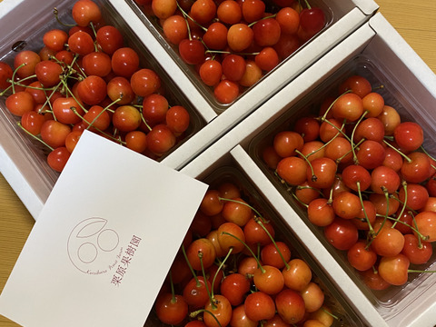 佐藤錦 1kg×２箱（L・Mサイズ混合）｜山形県東根産《家庭用バラｐ詰め》