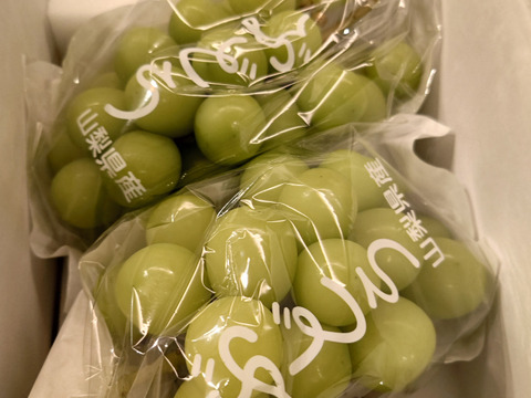 【予約販売！💚朝採れ山梨シャインマスカット】１キロ ２房でお届け！一度食べたら忘れられない 【生産量日本一の山梨県産】