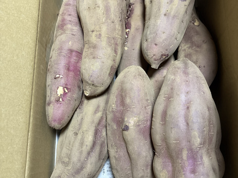 ホクホク食感！千葉県香取市産  紅あずま 2Lサイズのみ　4.8kg