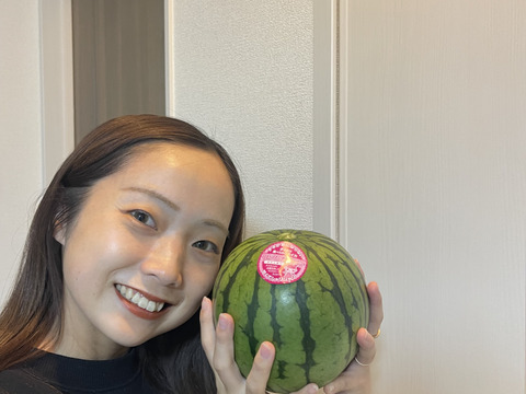 ウエヒラスイカ　小玉スイカ　ピノガール　2ｋｇ〜4ｋｇ程
