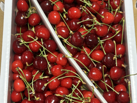 1kg★名和果樹園の訳あり家庭用紅さやか（佐藤錦×セネカの交配種）【常温便】お菓子作りにピッタリ！深い赤色と酸味のさくらんぼ★産地直送お取り寄せ通販