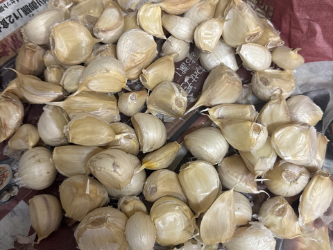 田子町産にんにく2kg【バラ】：青森県産のその他ニンニク｜食べ