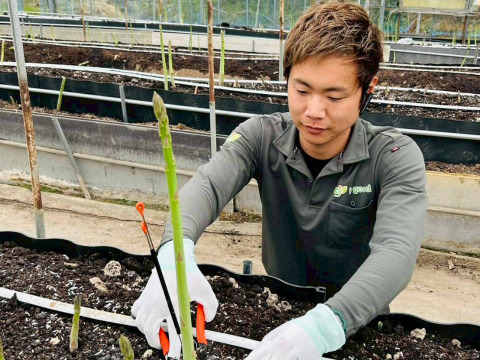 【極太アスパラ】さぬきのめざめ30cm！甘くて柔らか香川県産たっぷり1kg