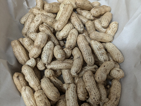 乾燥生落花生（油豆）在来種　300g　【おまけで試し焼き用100g増量❗】