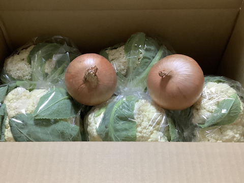 淡路島からのカリフラワー5つ　特別栽培農産物
