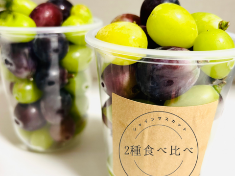 シャインマスカットとナガノパープルの食べ比べパック（粒売り）