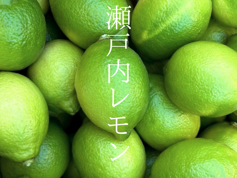 【大崎上島産】【2kg】瀬戸内レモン(グリーン)