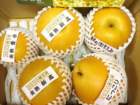 【旬の梨食べ比べ‼️3～5品種】何が届くかお楽しみ😋贈答用2.5kg以上、豊水・あきづき・かおり・あきあかり・二十世紀・南水・にっこり・新高・王秋・新興・愛宕の中から3品種以上詰め合わせます‼️
