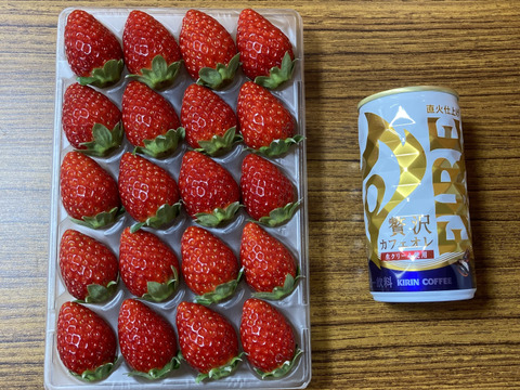 小さめサイズ　古都華　M  260g×2パック　橋本農園　奈良県　いちご